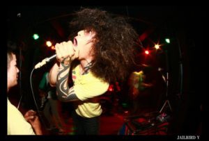 jailbird Y