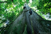 山口大志（フリーフォトグラファー）