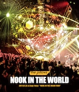 the pillows「NOOK IN THE WORLD 2017.07.22 at Zepp Tokyo "NOOK IN THE BRAIN TOUR"」Blu-rayジャケット