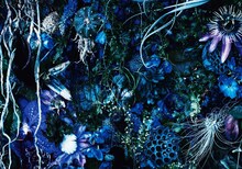 SUGIZO「ONENESS M」初回限定盤ジャケット