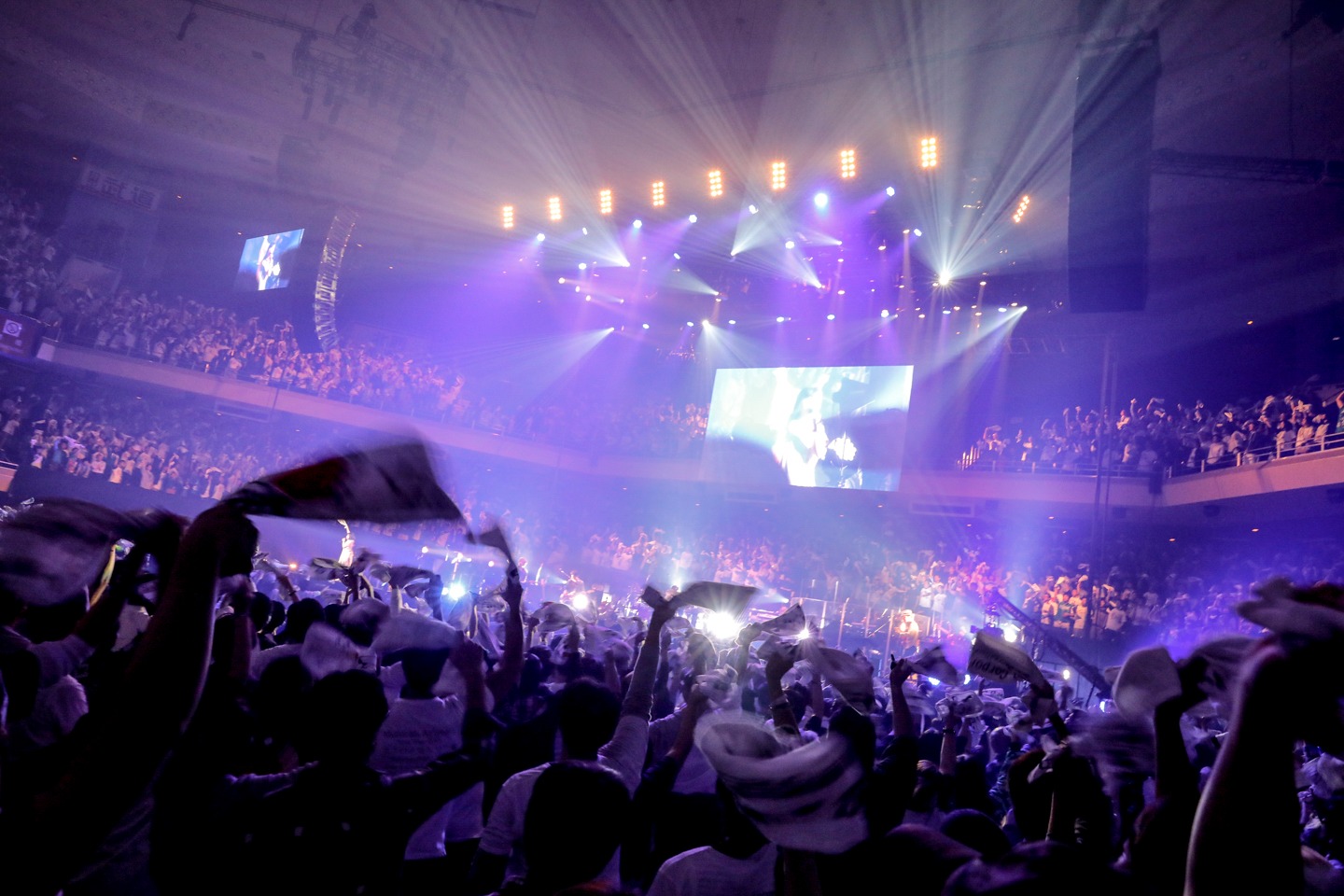 有安杏果「ココロノセンリツ ～feel a heartbeat～ Vol.1.5」東京・日本武道館公演の様子。（写真提供：キングレコード）