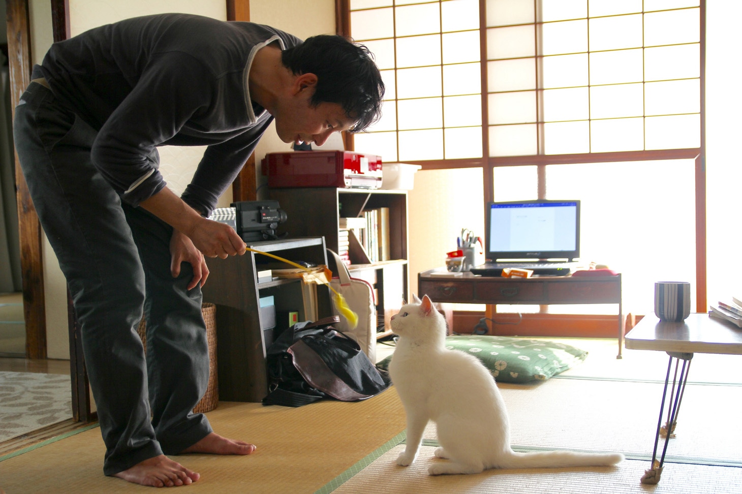 映画「愛しのノラ～幸せのめぐり逢い～」のワンシーン。