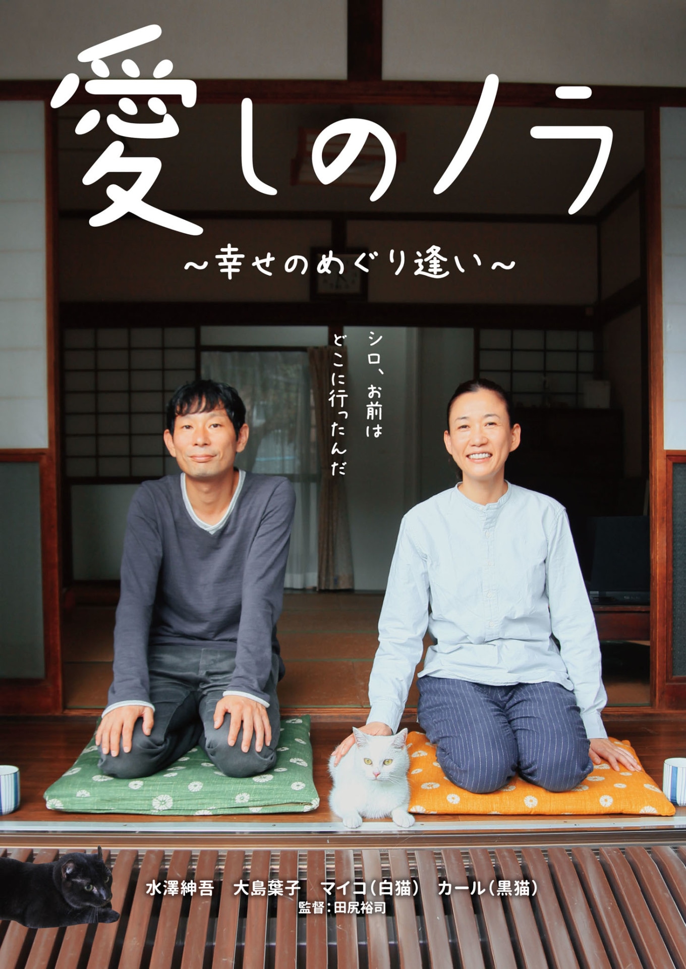 映画「愛しのノラ～幸せのめぐり逢い～」ビジュアル。
