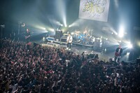 BLUE ENCOUNT（撮影：ヤオタケシ）