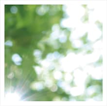 高野寛「Everything is Good」ジャケット