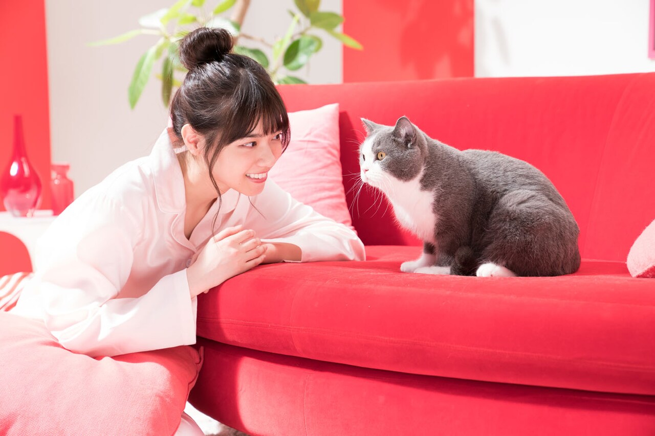 Web CM「占い篇」より。