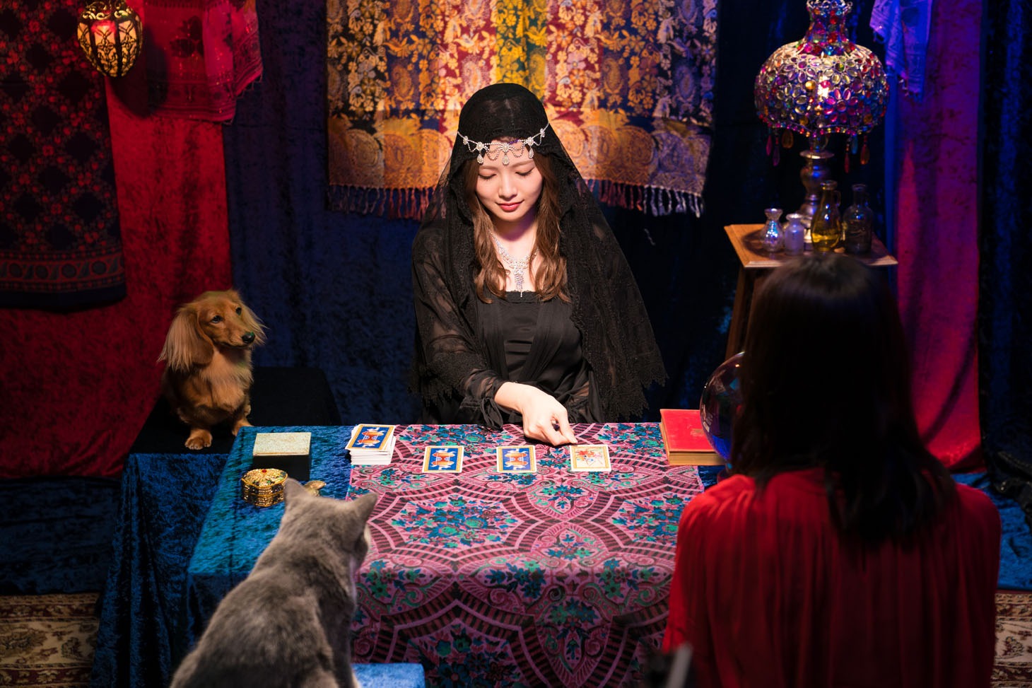 Web CM「占い篇」より。