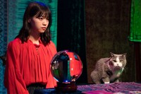 Web CM「占い篇」より。