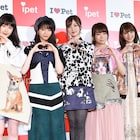 ペットになって飼われたい乃木坂メンバーは?秋元真夏「まいやんの飴と鞭浴びたい」