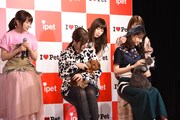 「アイペット損保 WEB CM発表会」の様子。