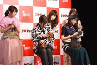 「アイペット損保 WEB CM発表会」の様子。