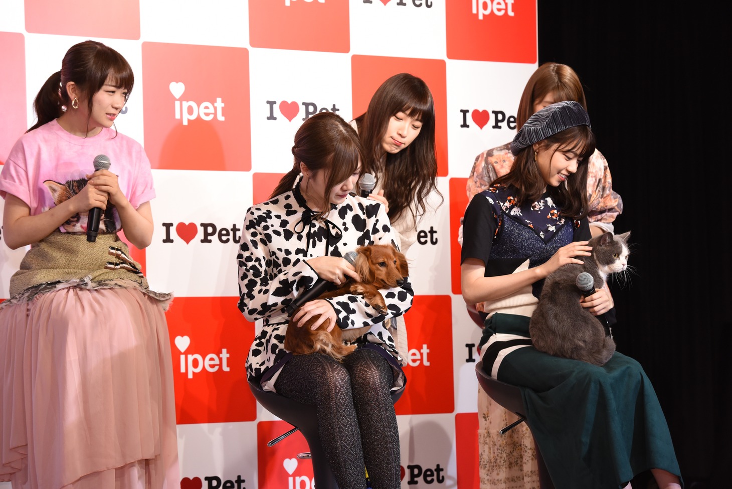 「アイペット損保 WEB CM発表会」の様子。