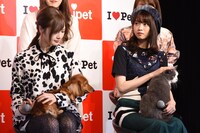 左から白石麻衣、西野七瀬。