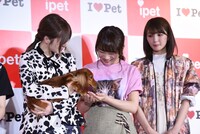 左から白石麻衣、秋元真夏、井上小百合。