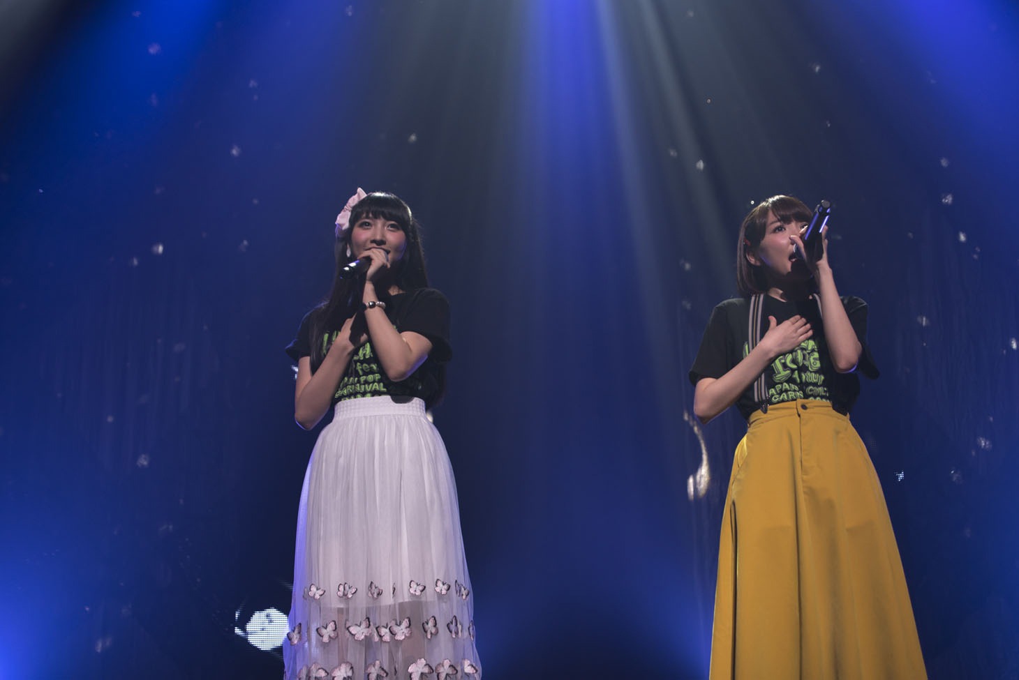 every▼ing!