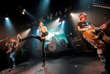 ザ・クロマニヨンズ