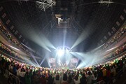 浦島坂田船「浦島坂田船 SUMMER TOUR 2017 ～THE FINAL～」の様子。（撮影：小松陽祐［ODD JOB］、岡本麻衣）