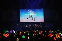 浦島坂田船「浦島坂田船 SUMMER TOUR 2017 ～THE FINAL～」の様子。（撮影：小松陽祐［ODD JOB］、岡本麻衣）