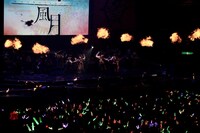 浦島坂田船「浦島坂田船 SUMMER TOUR 2017 ～THE FINAL～」の様子。（撮影：小松陽祐［ODD JOB］、岡本麻衣）