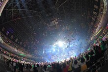 浦島坂田船「浦島坂田船 SUMMER TOUR 2017 ～THE FINAL～」の様子。（撮影：小松陽祐［ODD JOB］、岡本麻衣）