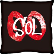 B賞のミニクッション。