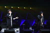 CHEMISTRY (c)テレビ朝日 ドリームフェスティバル 2017 / 写真：岸田哲平