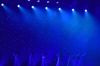 アイドルネッサンス