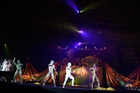 ゴールデンボンバー