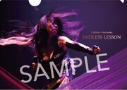 鬼束ちひろ「ENDLESS LESSON」購入者特典クリアファイル（HMVバージョン）