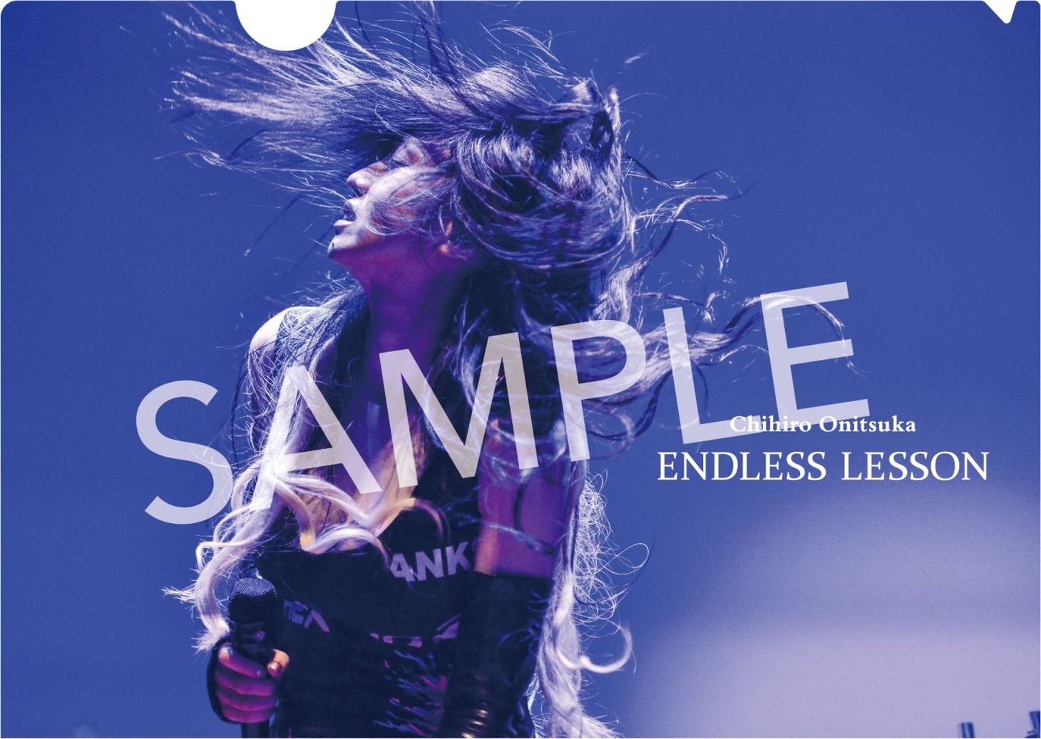 鬼束ちひろ「ENDLESS LESSON」購入者特典クリアファイル（タワーレコードバージョン）