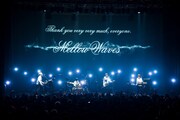 「Mellow Waves Tour 2017」東京・新木場STUDIO COAST公演の様子。（撮影：棚橋亮）