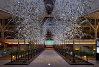 「羽田Sky illumination～誰も見たことのない光～」イメージ画像