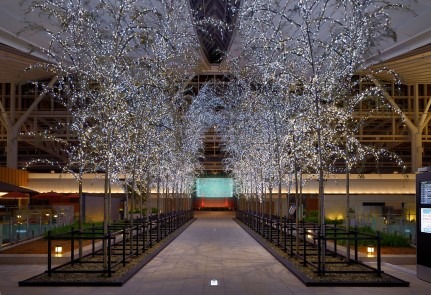 「羽田Sky illumination～誰も見たことのない光～」イメージ画像