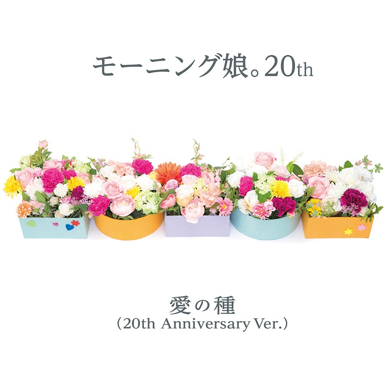 モーニング娘。20th「愛の種（20th Anniversary Ver.）」配信ジャケット