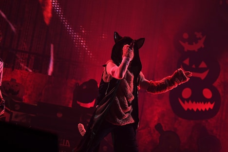 うらたぬき（撮影：小松陽祐［ODD JOB］、岡本麻衣）