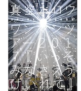 真空ホロウ「真空ホロウ ワンマンツアー2017いっそみなさえうけいれて」ジャケット