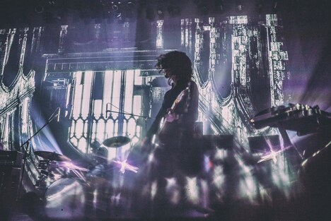 ケンゴマツモト（G）（Photo by Atsuki Umeda）