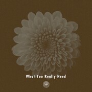 AmPm「What You Really Need（feat. Miraa May）」配信ジャケット
