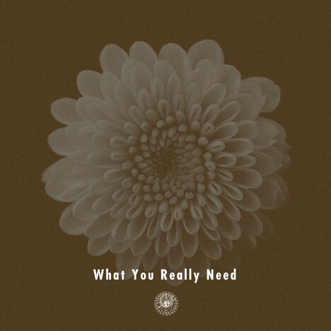 AmPm「What You Really Need（feat. Miraa May）」配信ジャケット