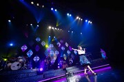 「大原櫻子 4th TOUR 2017 AUTUMN ～ACCECHERRY BOX～」東京・Zepp Tokyo公演の様子。（撮影：田中聖太郎）