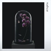 warbear「warbear」ジャケット