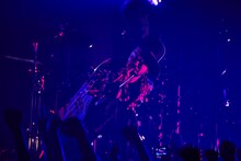 タブゾンビ（Tp）（撮影：後藤倫人）