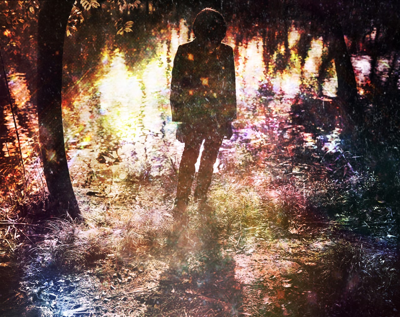 冷牟田敬band×河合宏樹、新MVを一挙3本公開