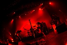 tricot「【LIVE TIPS】tricot VS 47 Tour Final presented by WOWOW」の様子。（撮影：半田“H.and.A”安政［Showcase］）
