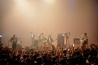 tricot「【LIVE TIPS】tricot VS 47 Tour Final presented by WOWOW」の様子。（撮影：半田“H.and.A”安政［Showcase］）