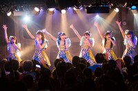 マジェスティックセブン（撮影：堀口綾）