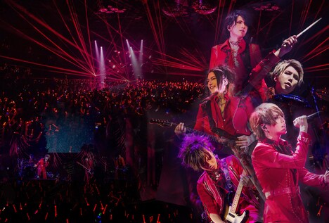 A9「13TH ANNIVERSARY LIVE "ALICE IN WONDEЯ LAND"」DVDジャケット