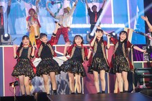 たこやきレインボー（撮影：笹森健一）