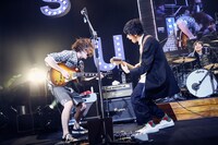 向き合ってギターを奏でる黒田隼之介（左 / G, Cho）と片岡健太（右 / Vo, G）。（撮影：後藤壮太郎）