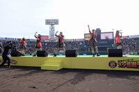 たこやきレインボー